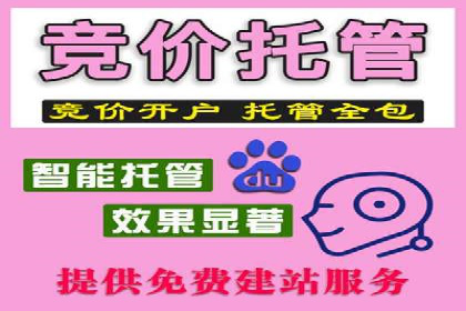 百度推广优化成功案例，揭秘优化秘籍